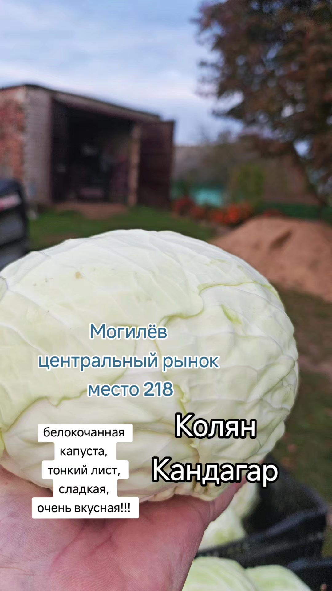 @Картофель Могилёв