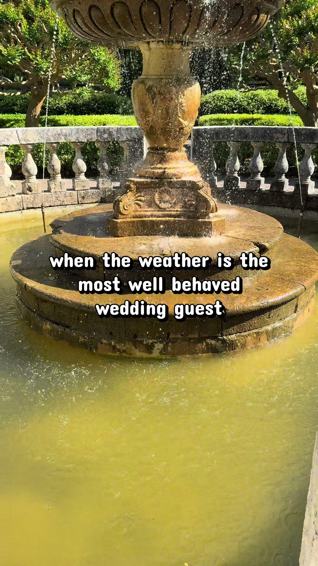 @Stevie Gallop