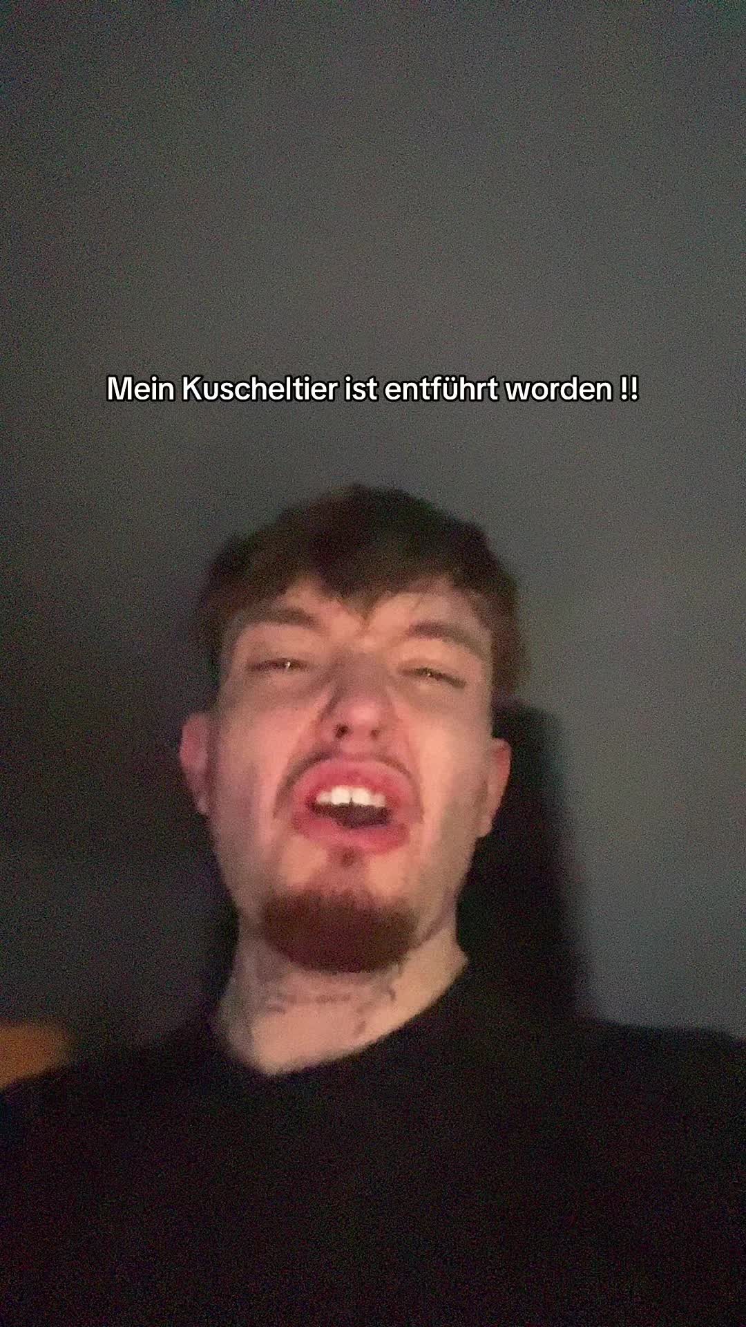 @131Finn
