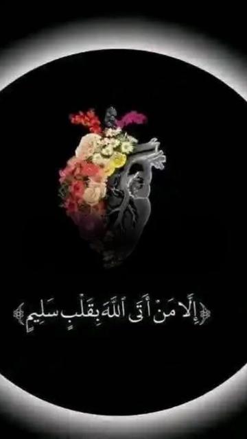 @🐺گرگ تنها🐺