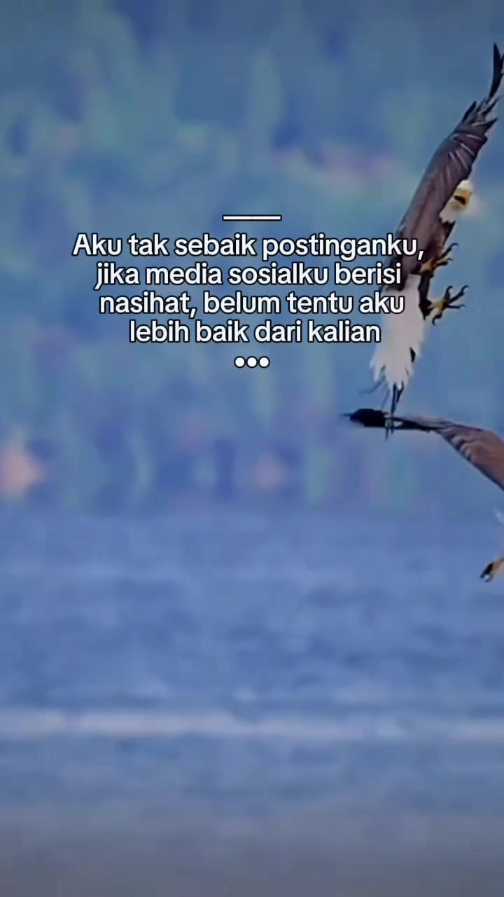 @Analia Kim