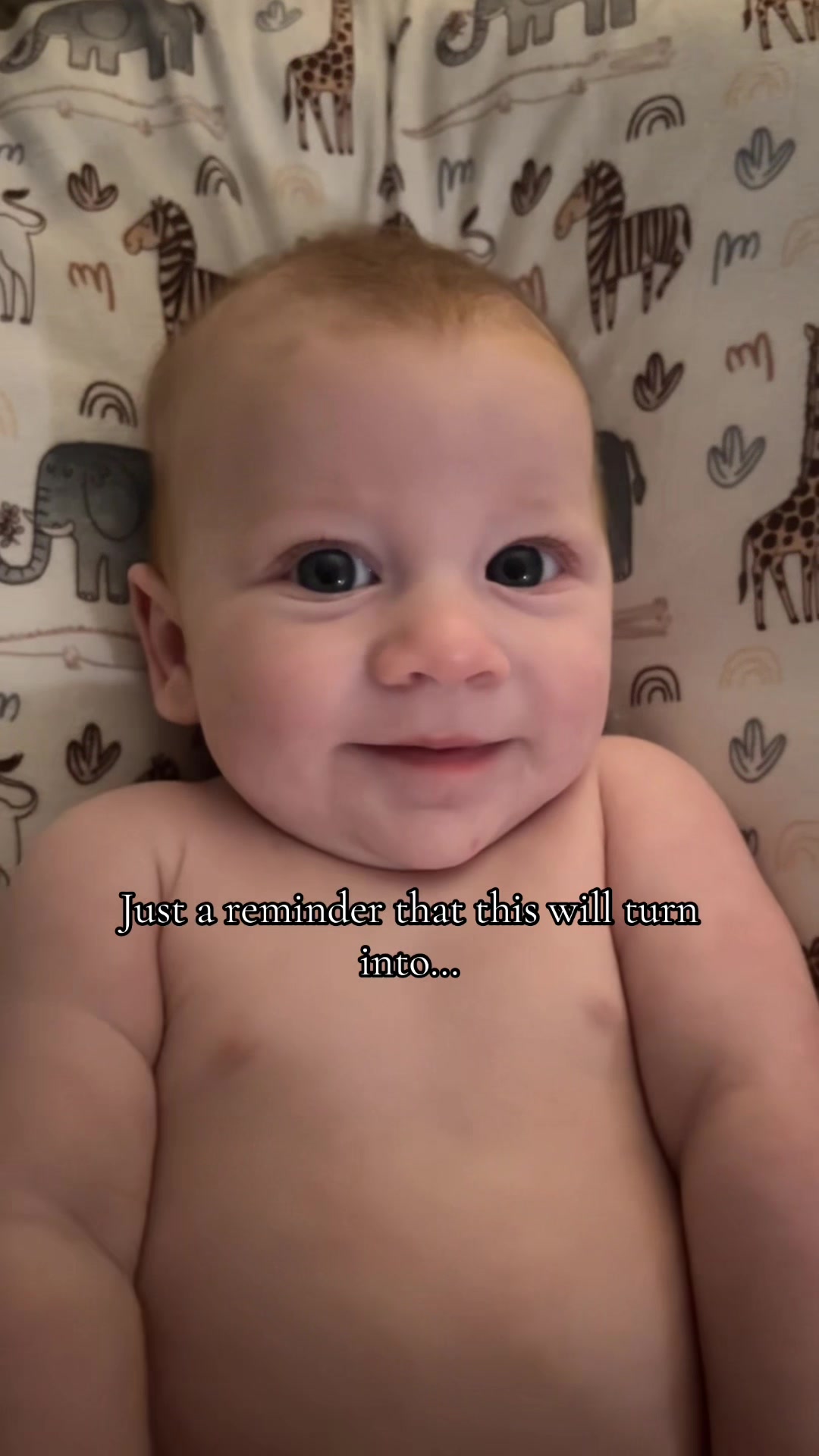 @MommaAbs