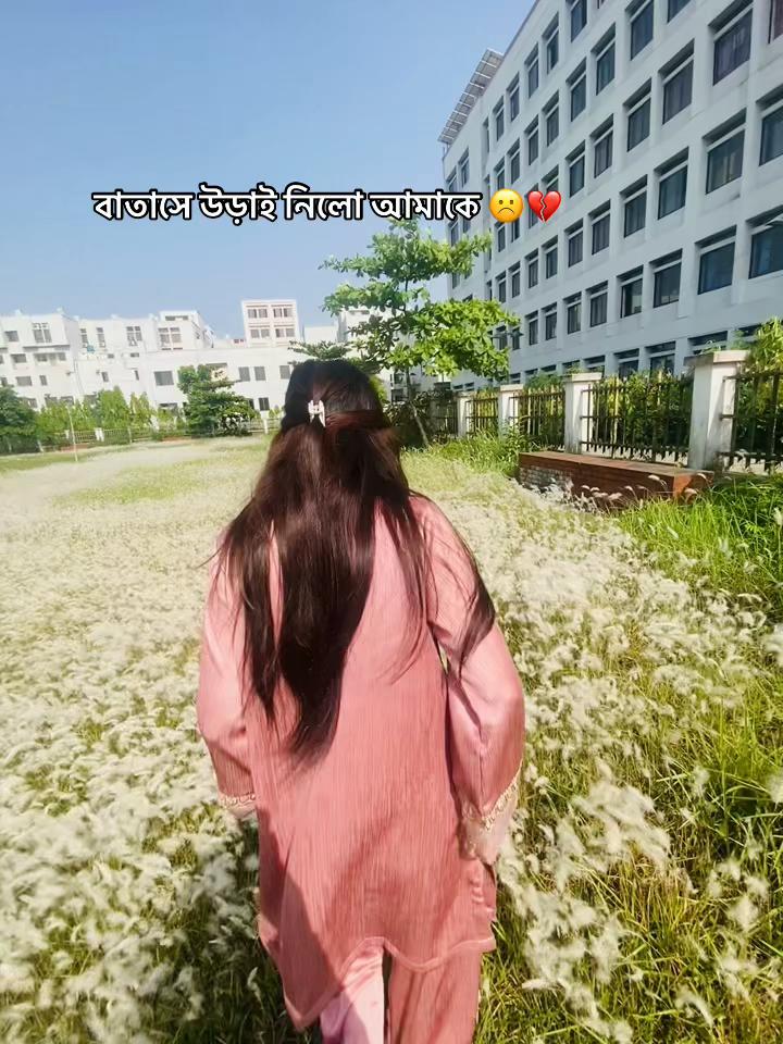 @meow_jinuk