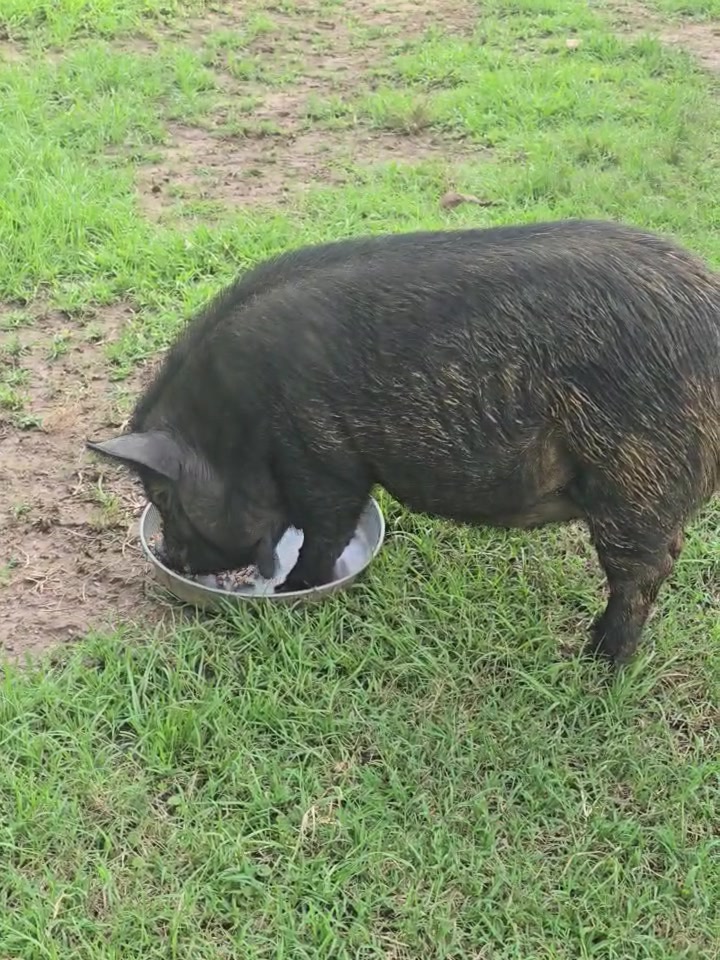 @Cedarhill Animal Sanctuary