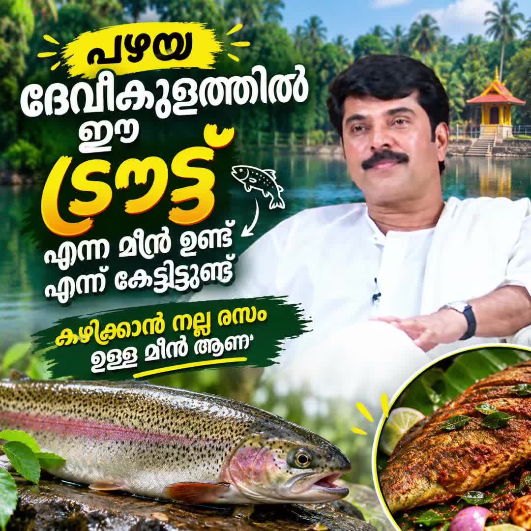 @favasarakkal369๐ฅ๐ฅ
