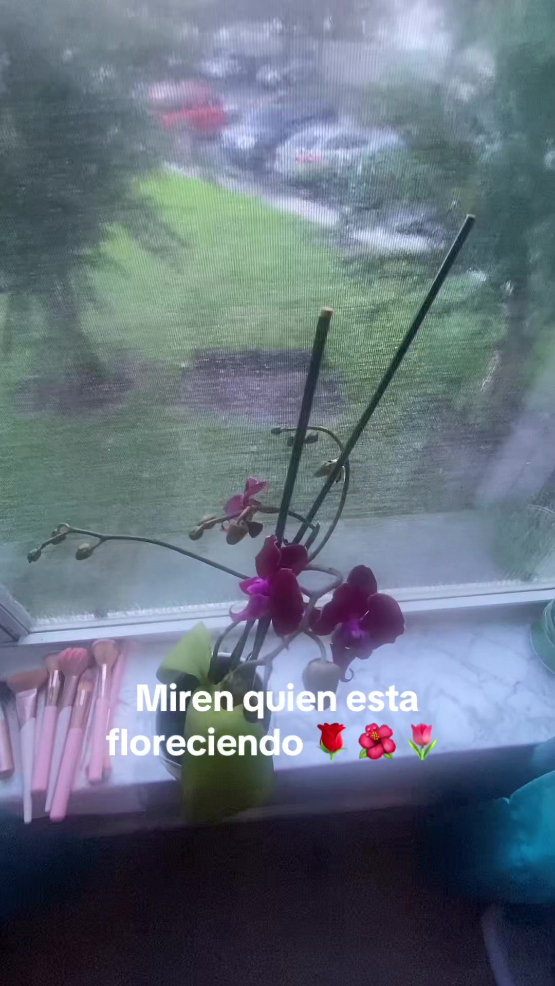 @Ivenette Rodriguez Cruz