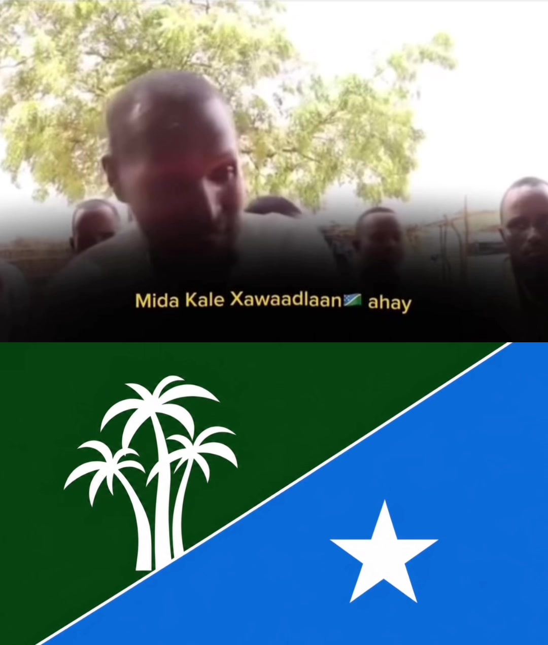 @Shaffi Abdi