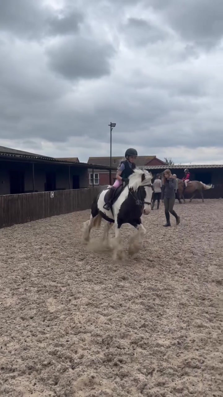 @LottiesHorseAdventures🦄🐴