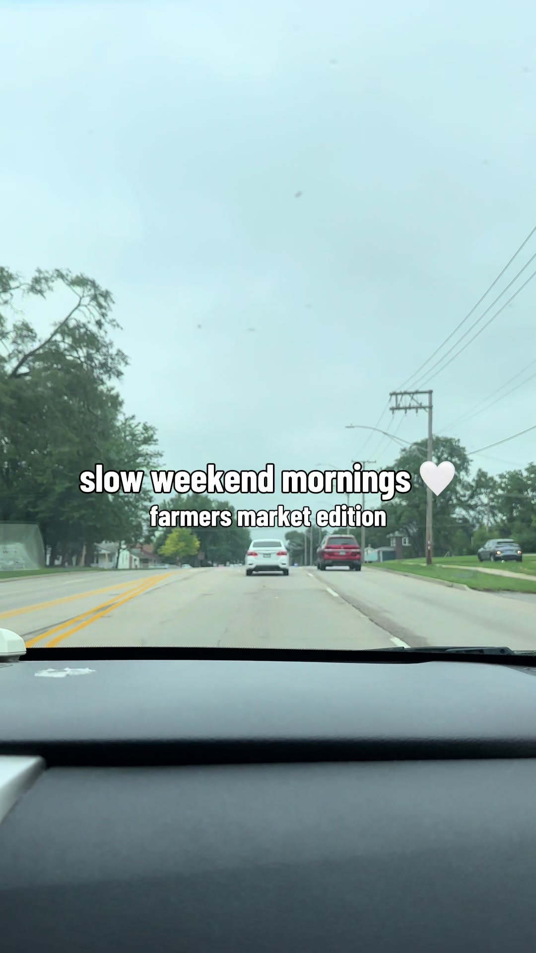 @Shayla 🌸🌺🌼