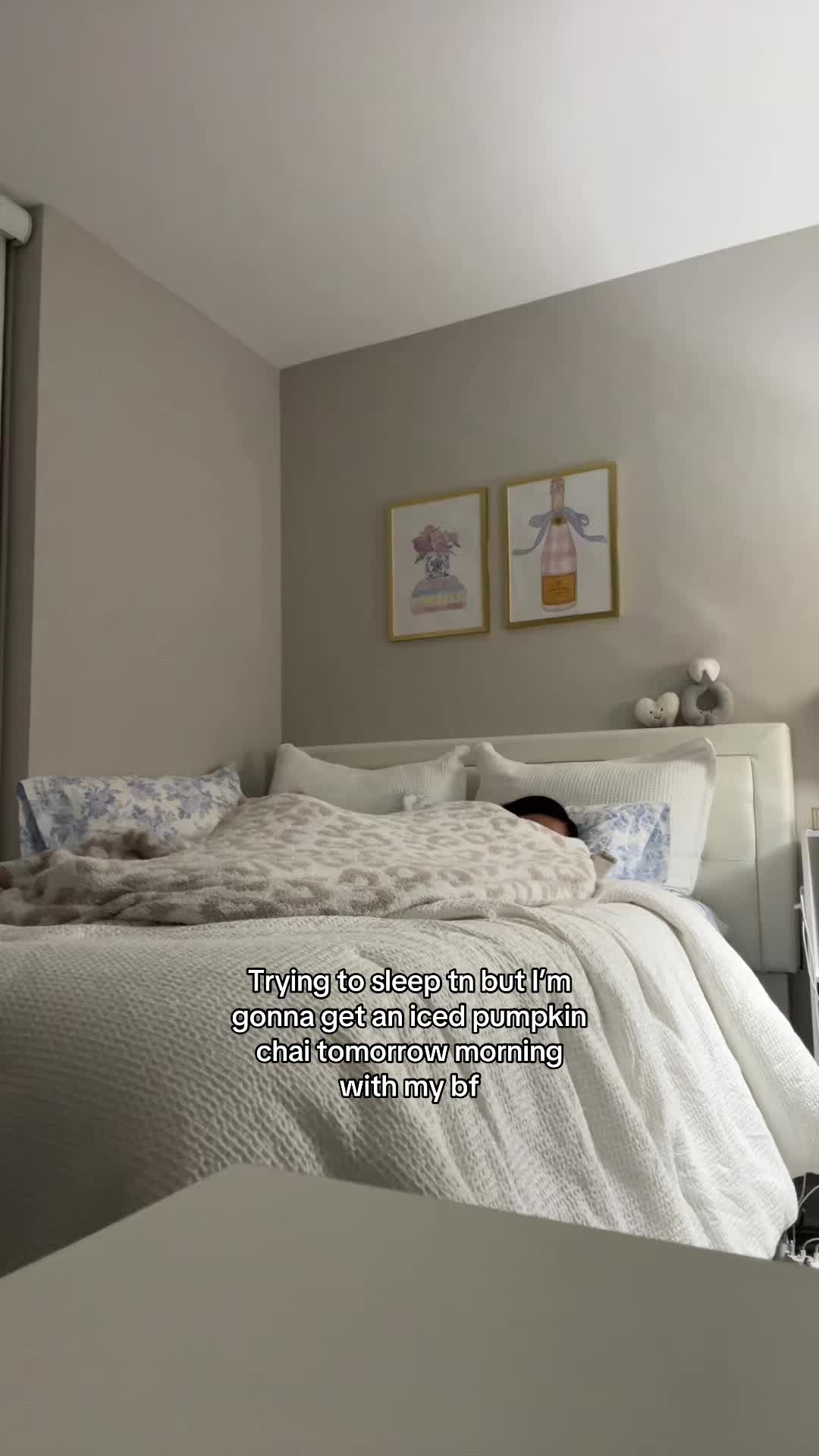 @😽