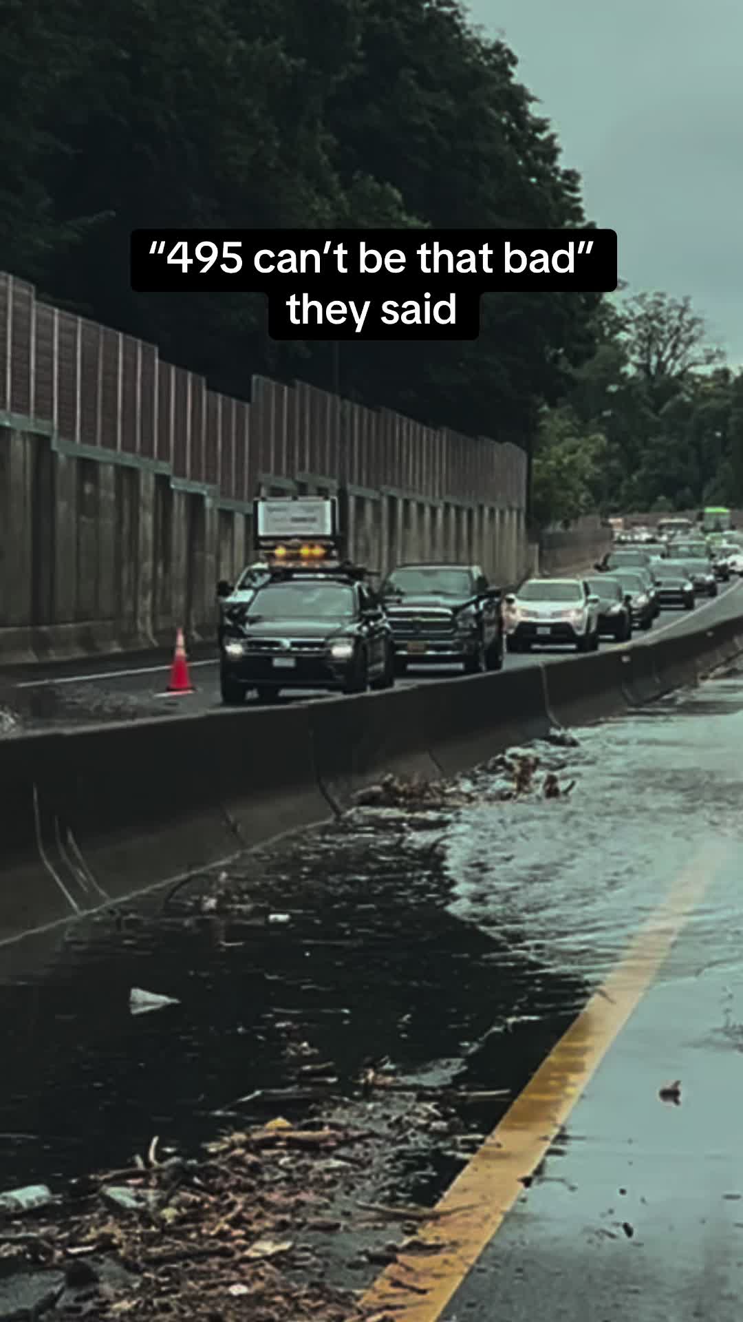 @whitneysklein