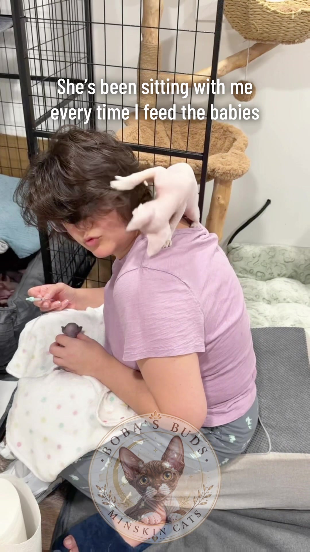 @Boba’s Buds Minskin Cats
