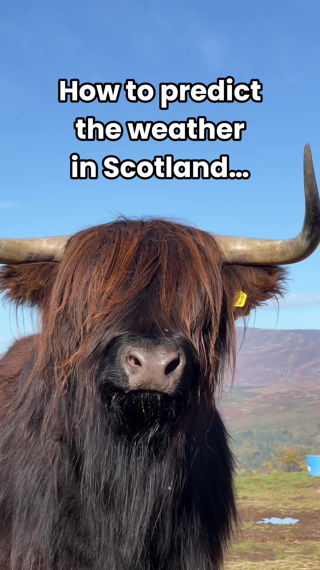 @VisitScotland