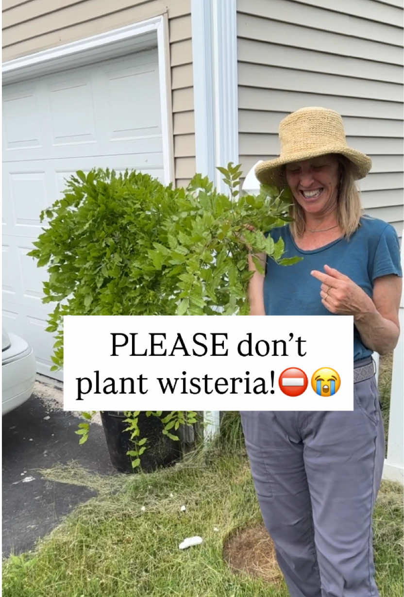@You Can Do It Gardening