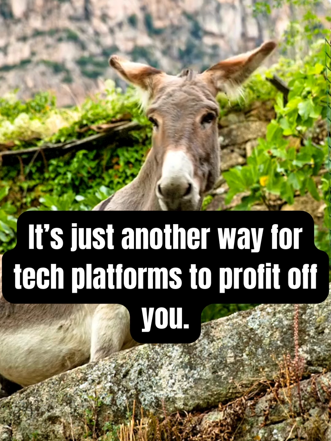 @Digital Marketing Pros ✨