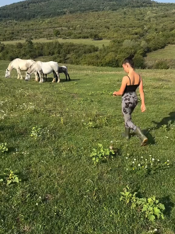 @România