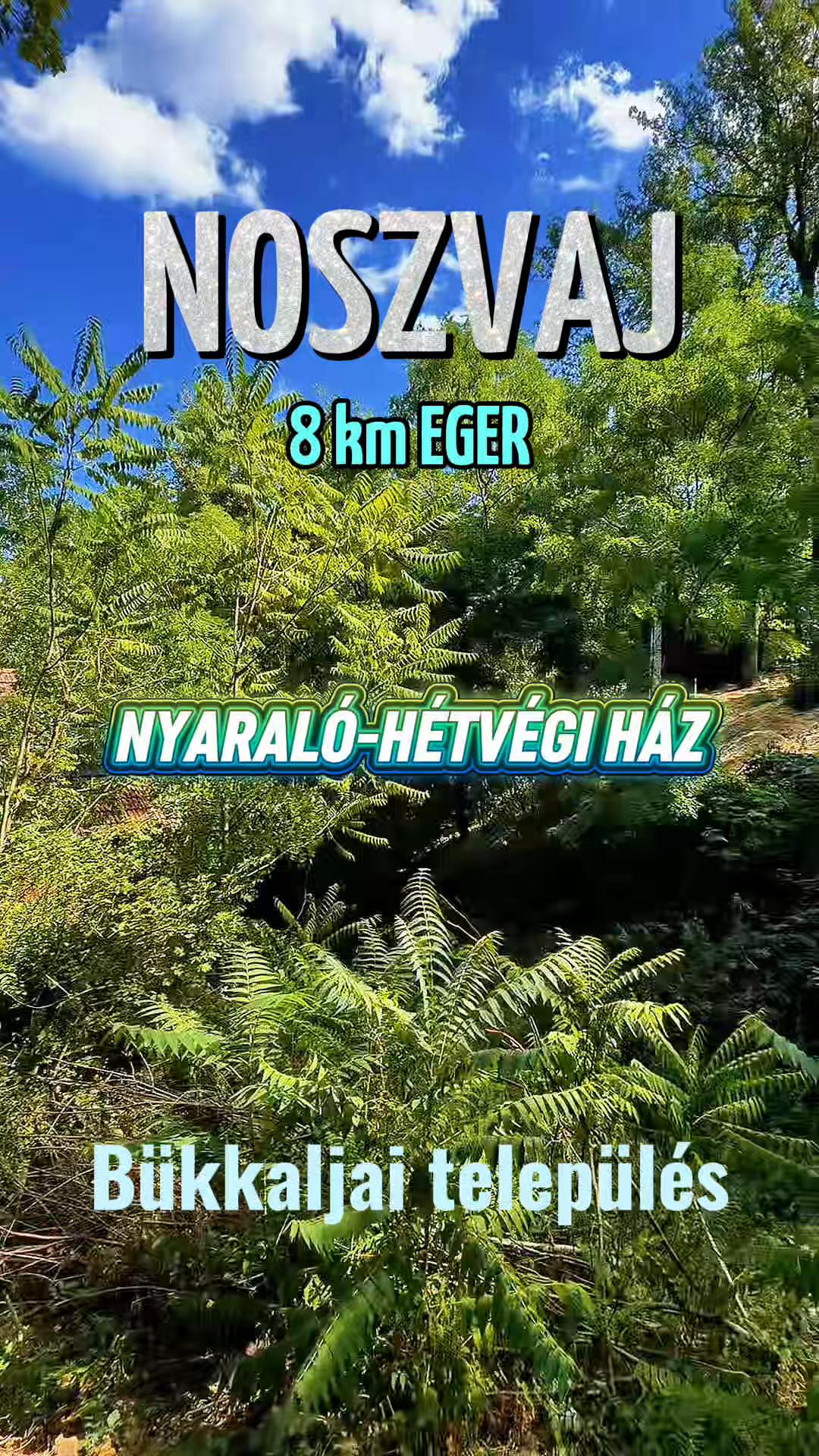 @TOP INGATLAN MEZŐKÖVESD