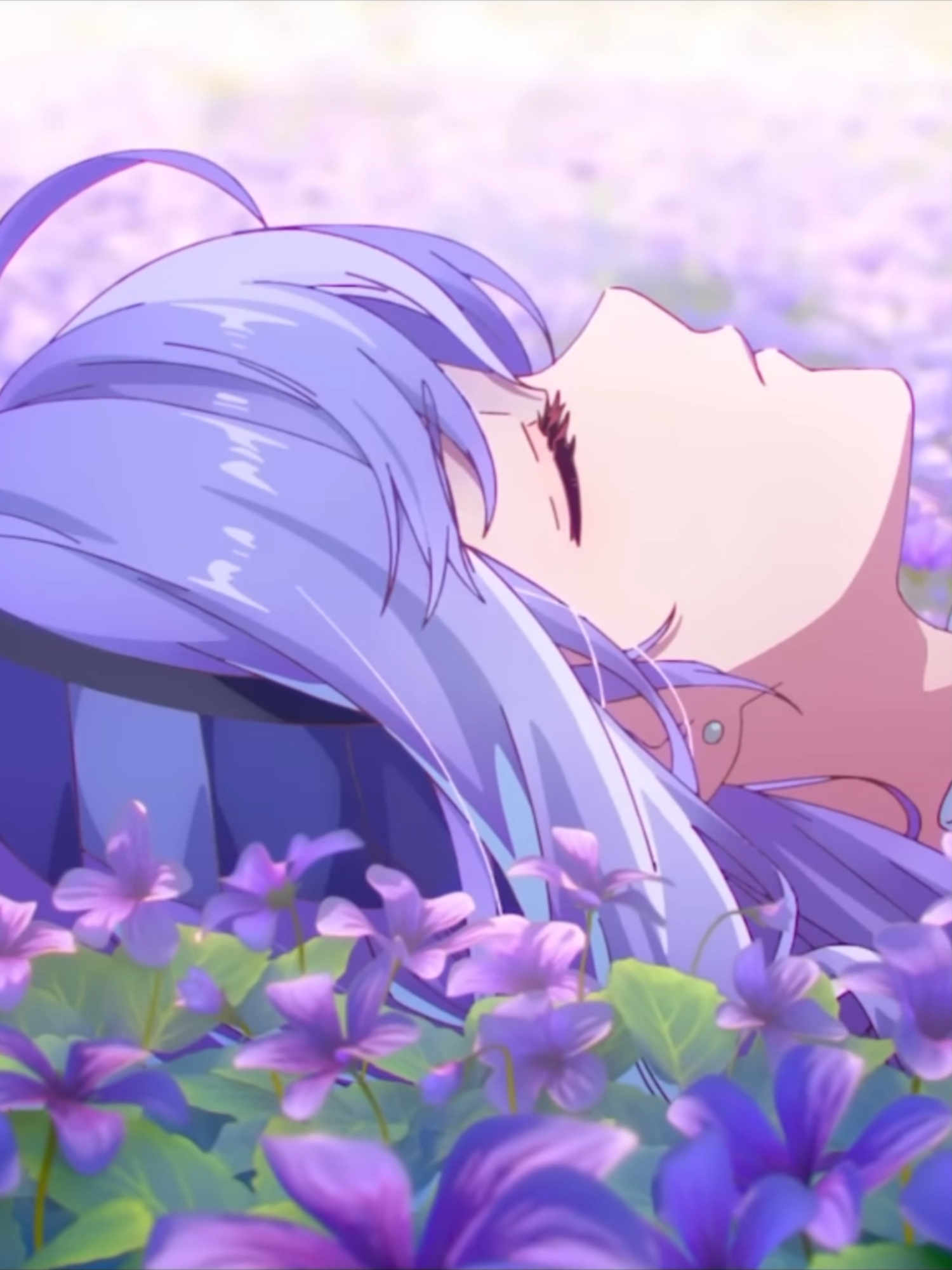 @jinsei