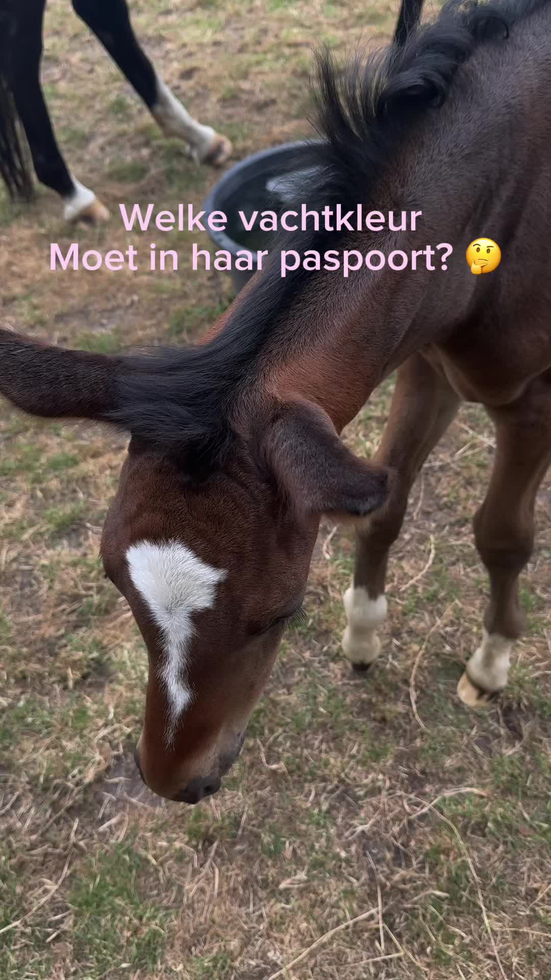 @Pietrik 🌱