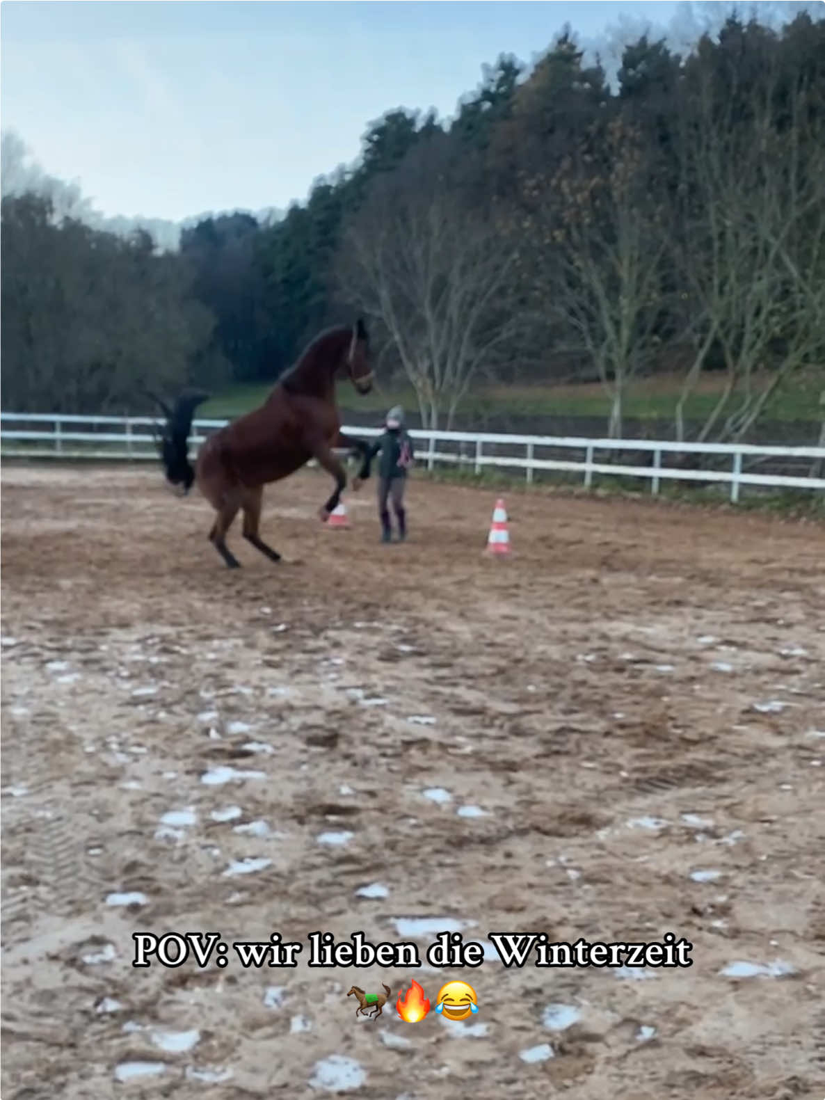 @Tigerlilly Diamant & Cherokee