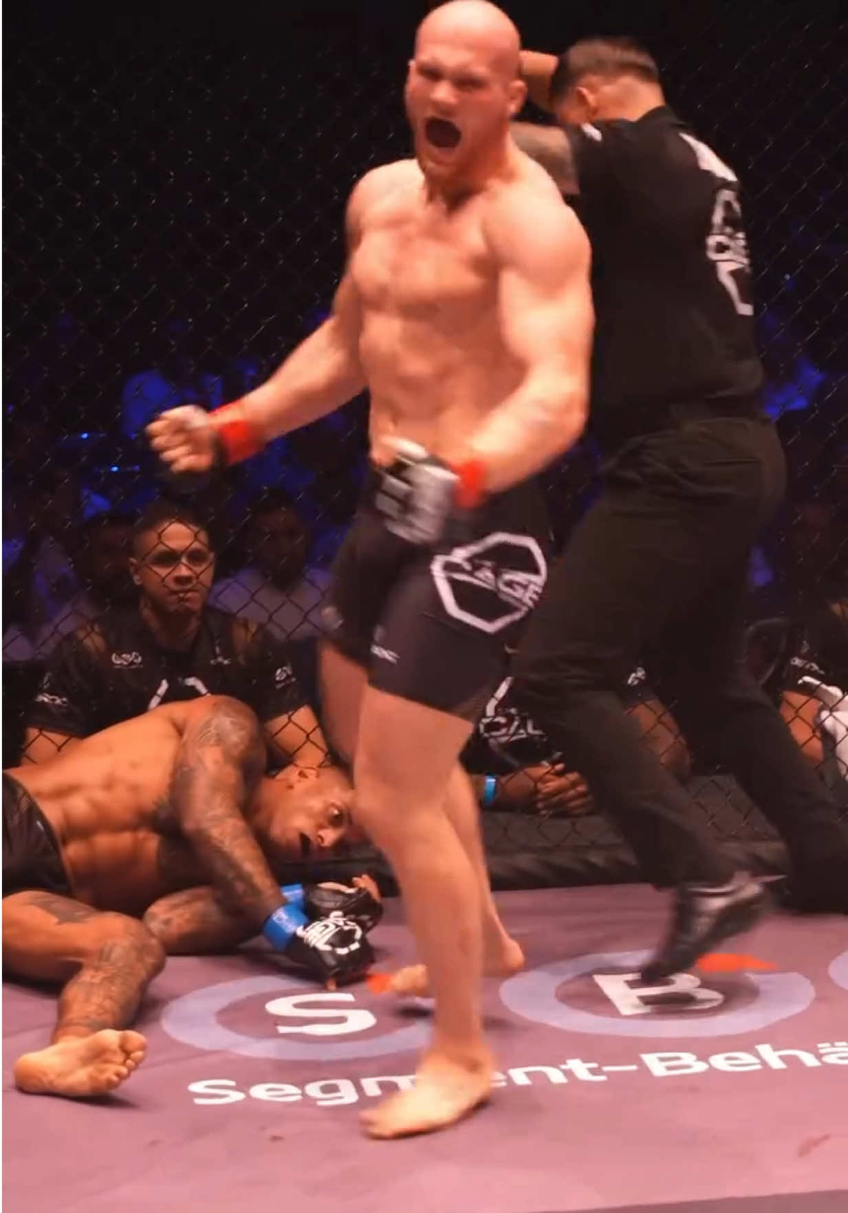@FightingLab