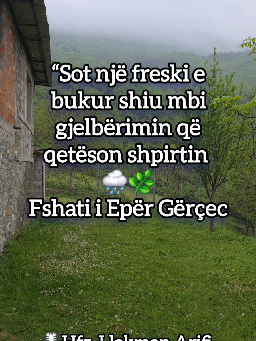 @Fjal&euml; t&euml; shtrenjta