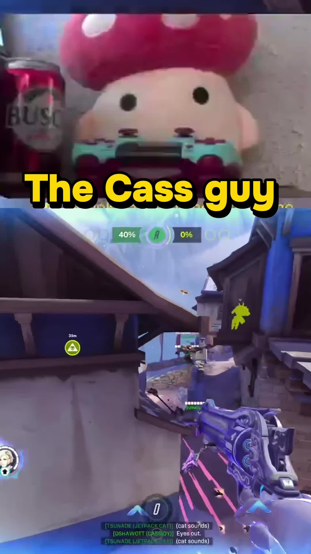 @drmushroom4