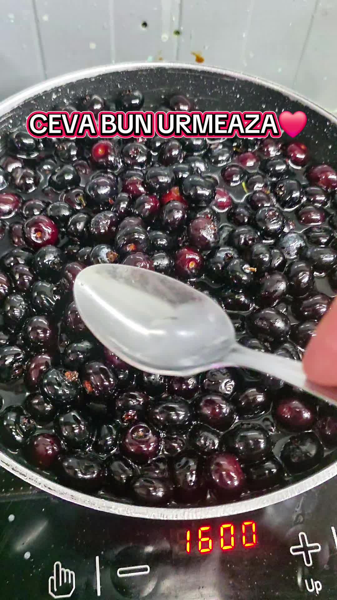 @AnyasByChefAndreiFlueraru