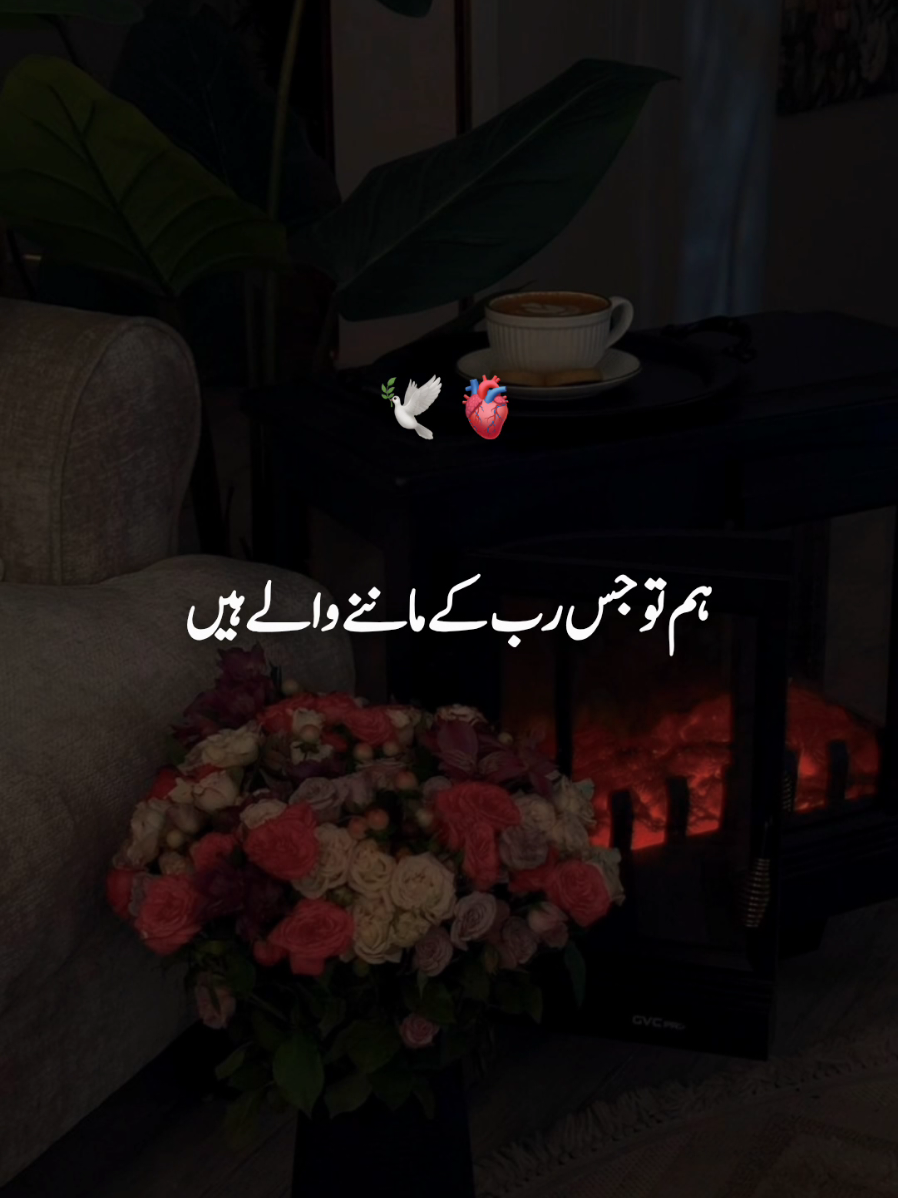 @𝐒𝐀𝐐𝐈𝐁 𝐄𝐃𝐈𝐓𝐒✨️