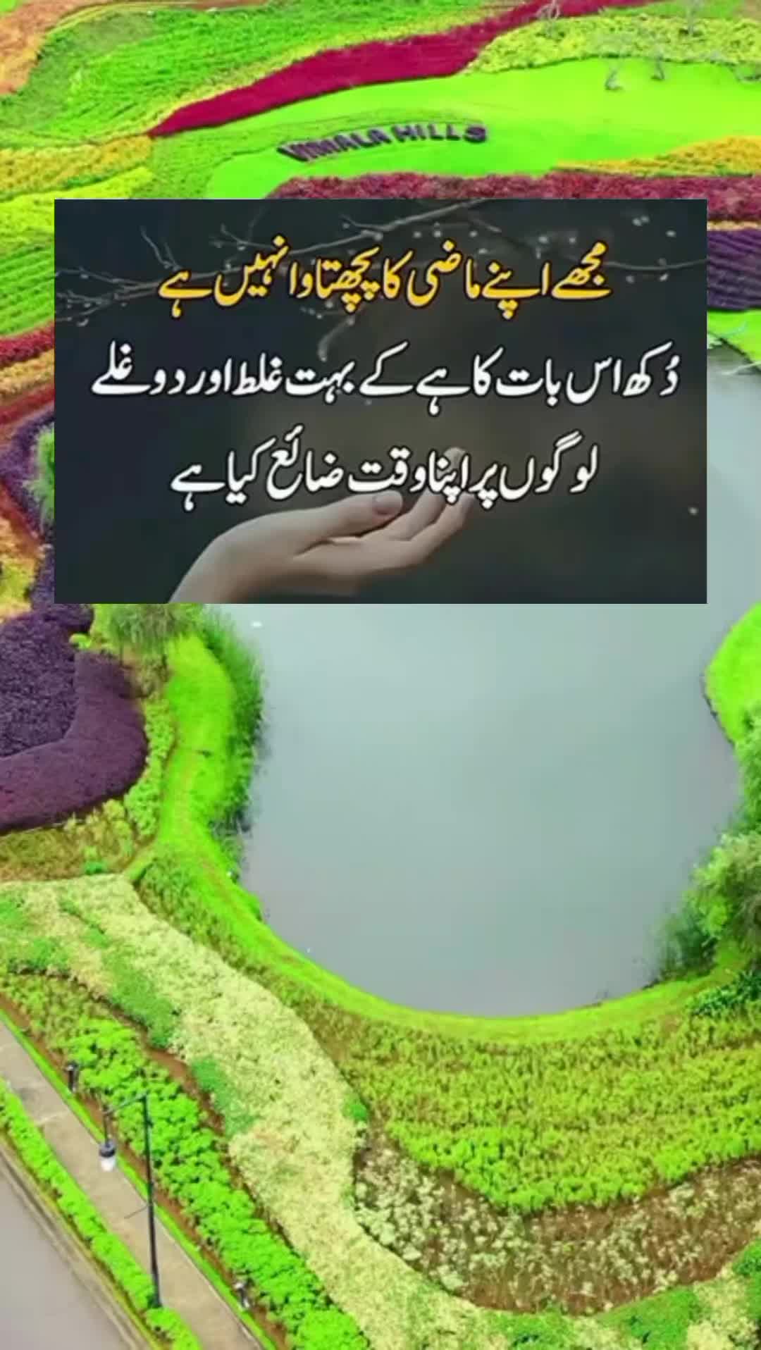 @sharaiz