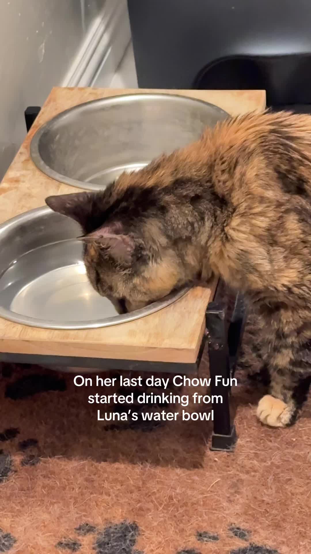 @and Luna 🐺