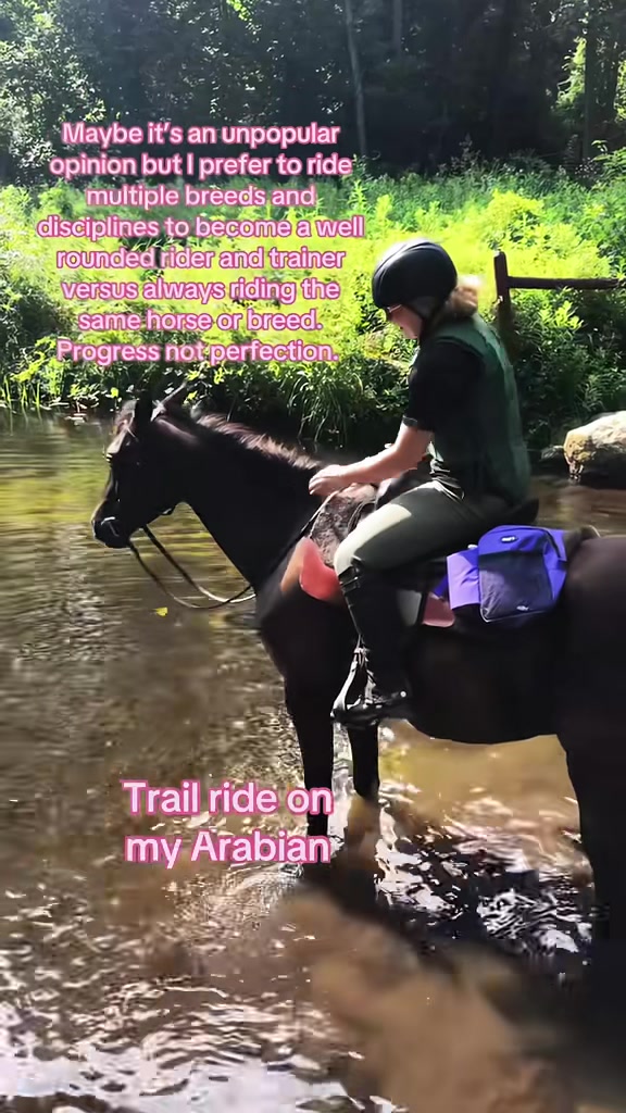 @Free Spirit Equestrian
