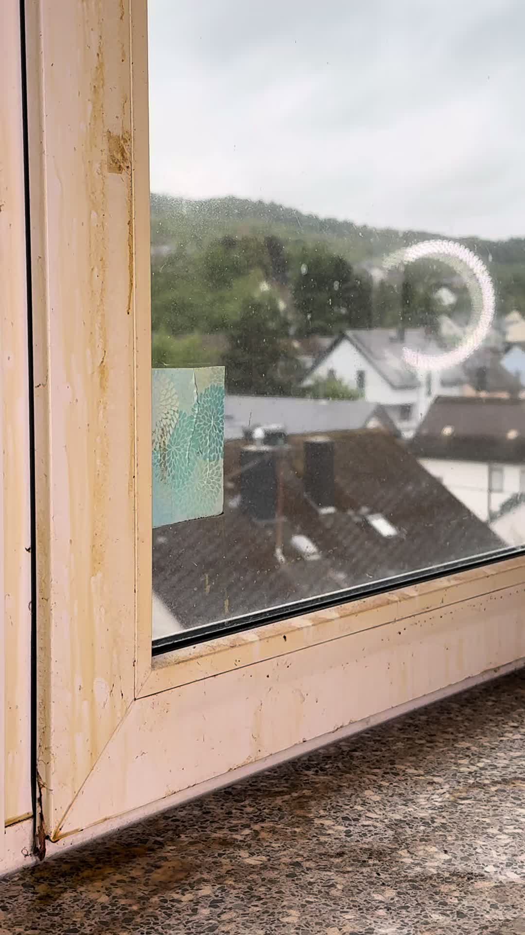 @die_Vanheidens