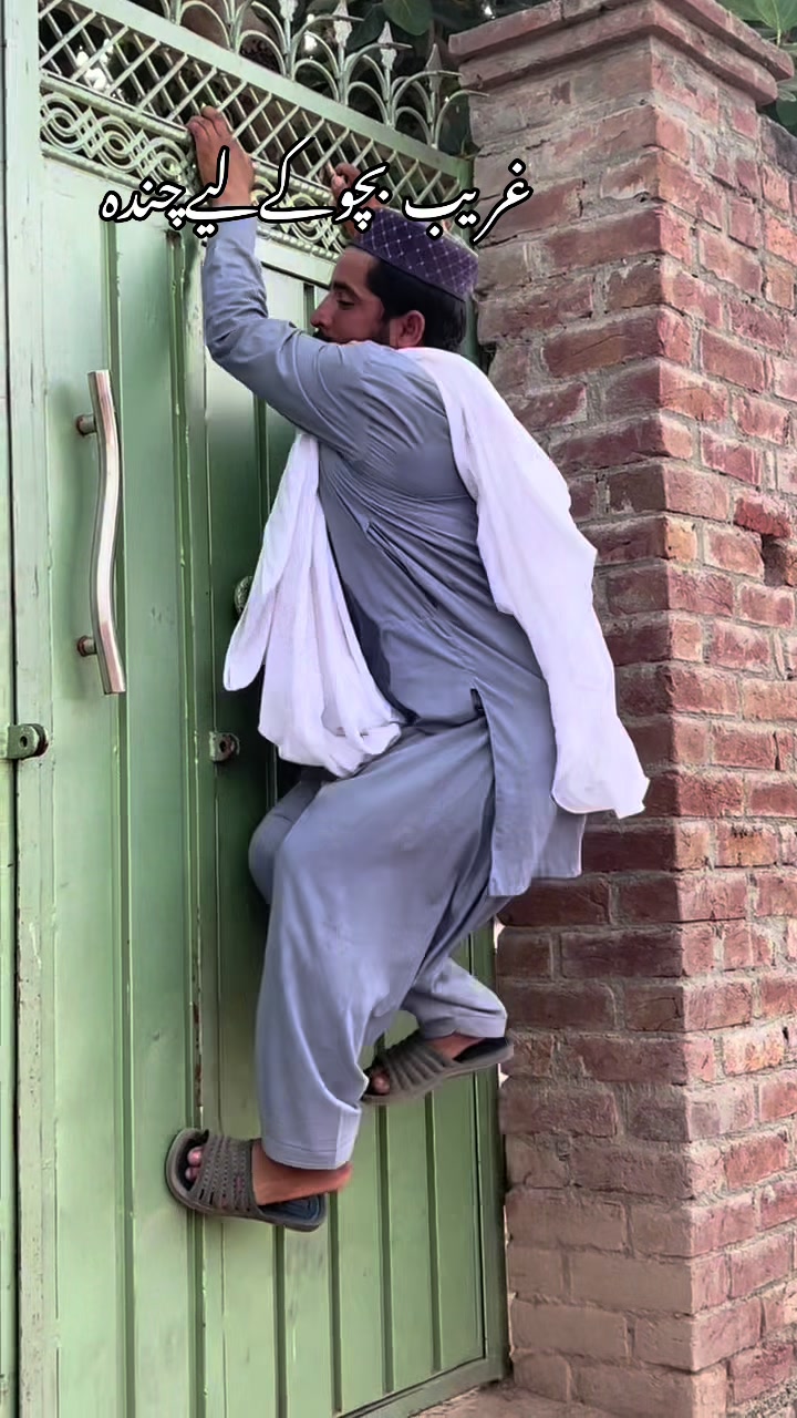 @پینڈو بوائز 378