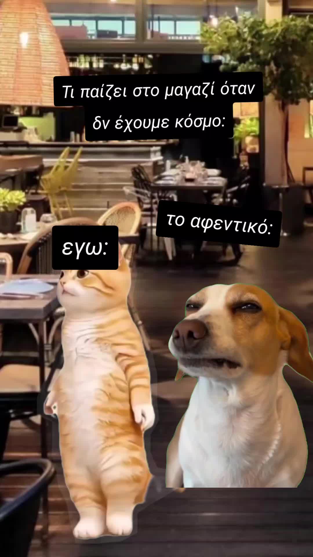 @🐒lena💫