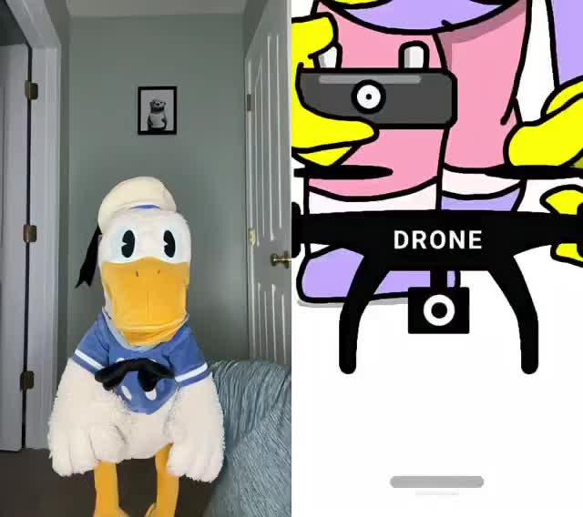@DonaldDucc 🦆