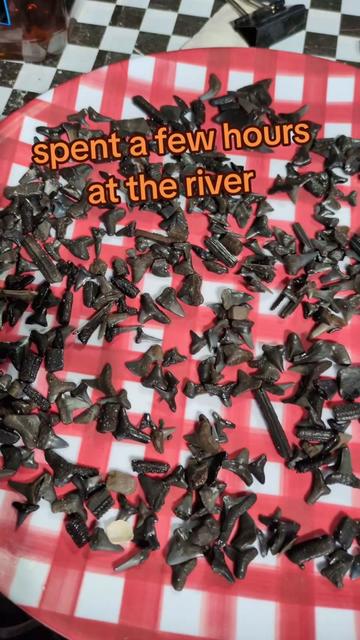 @Tooth Raiders