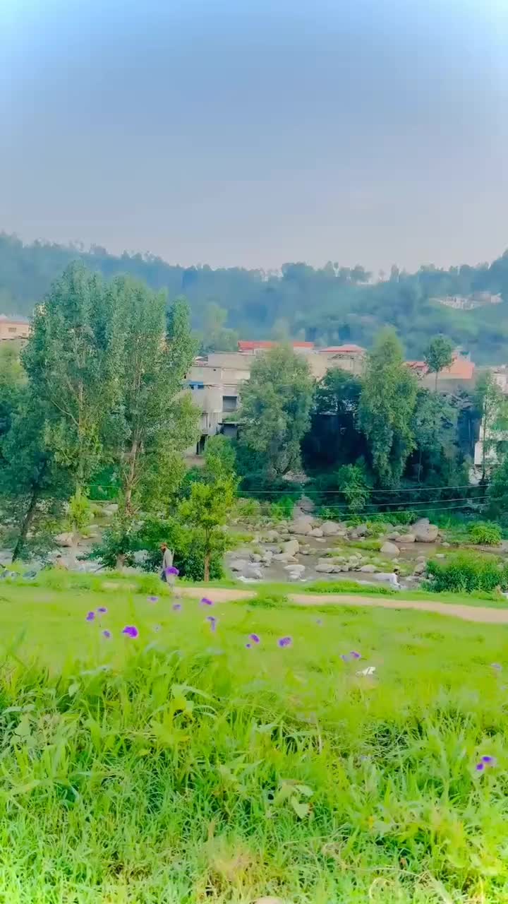 @inzamamshah14