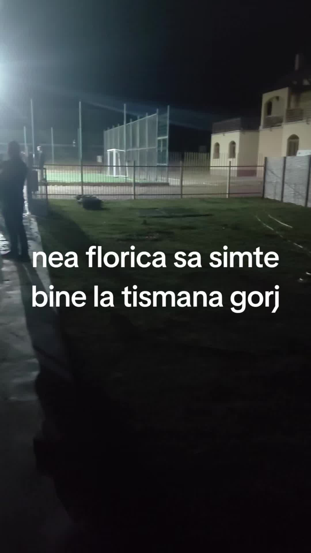 @florinelbalanoiu11