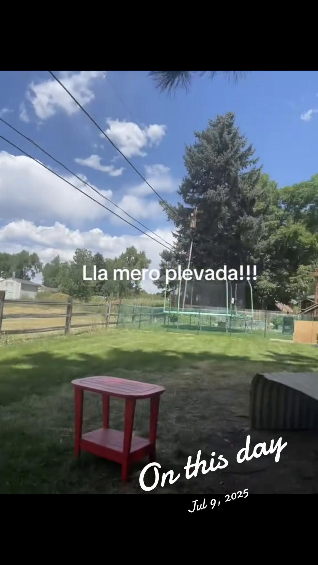 @Snapps