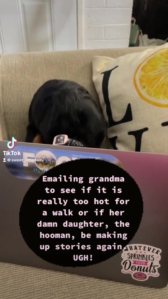 @Sweet Little Daisy