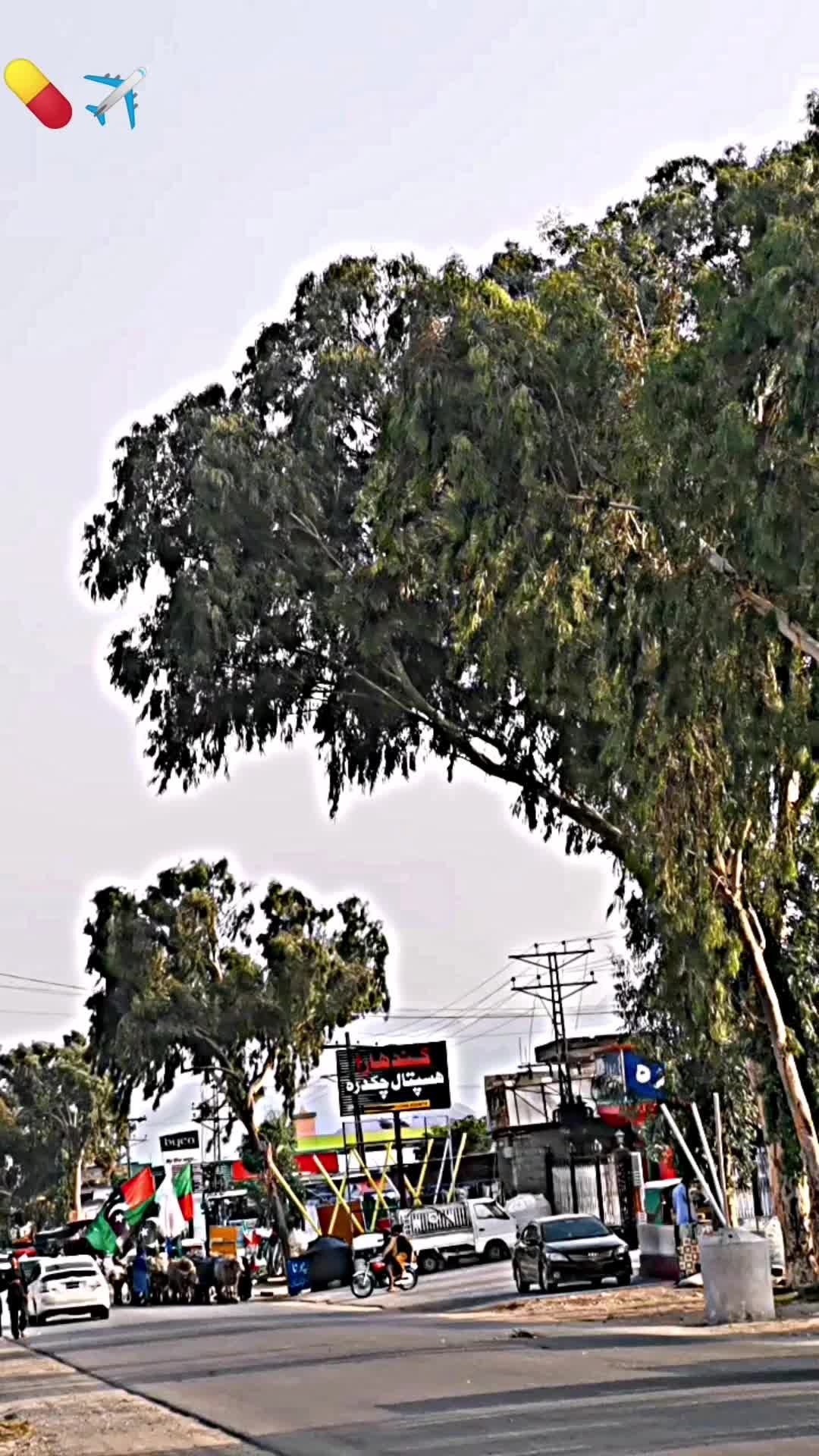 @Abdullah jan🚩