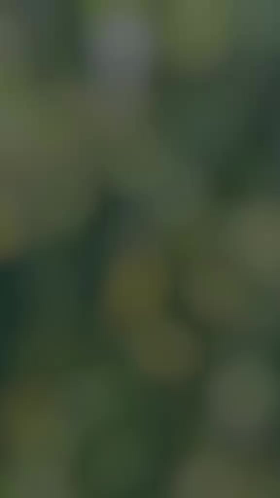 @درویش لوگ