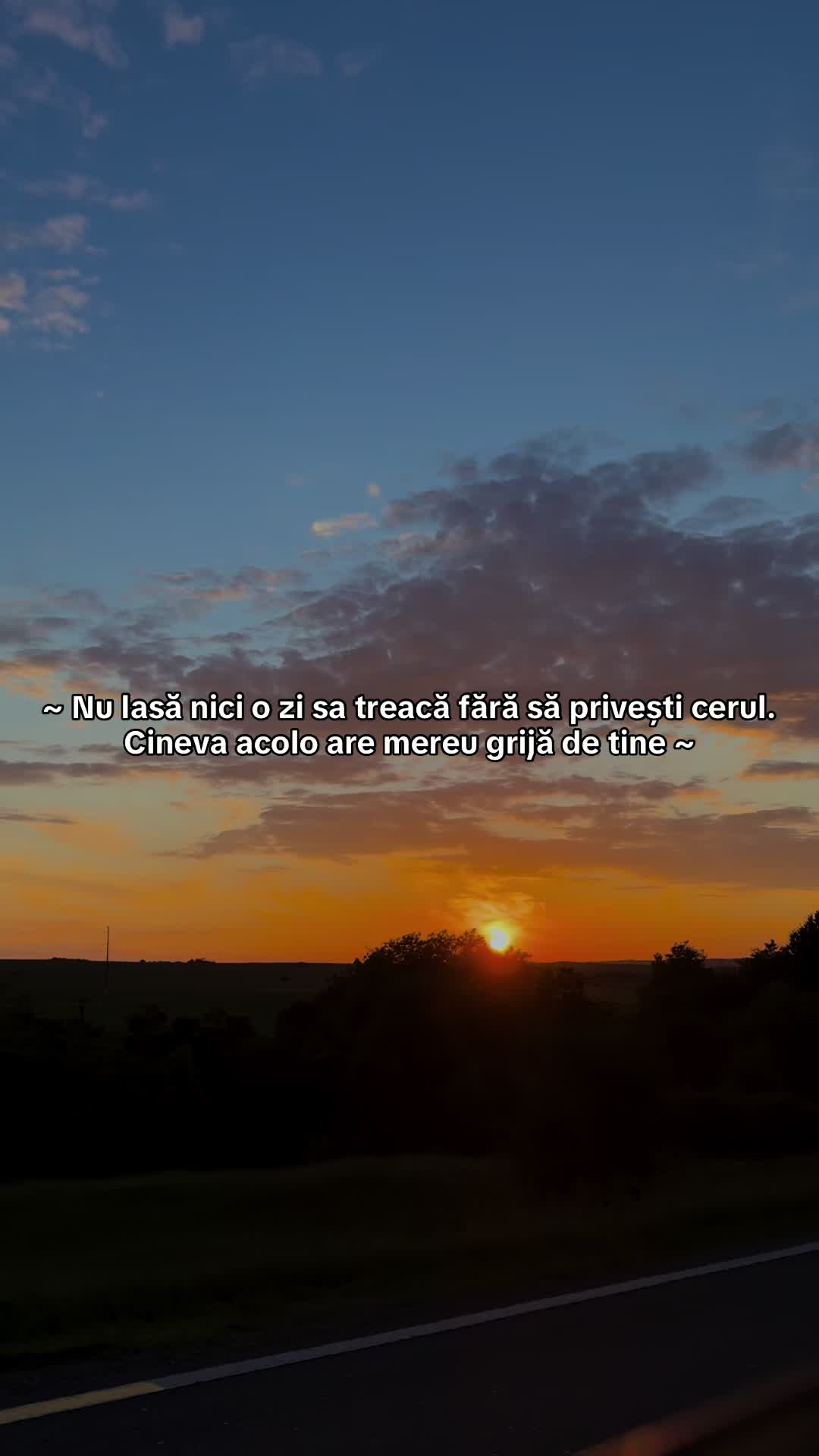 @Marcela Cengher