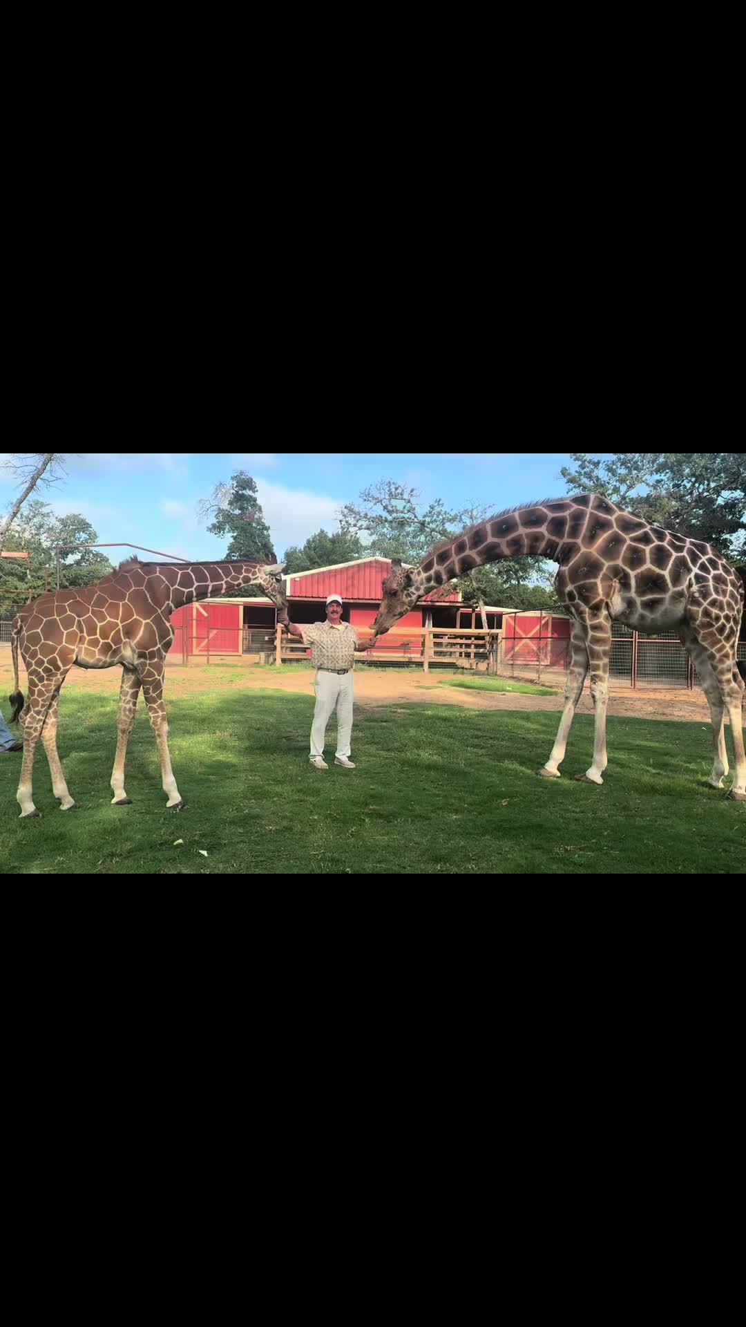 @Tigersafari