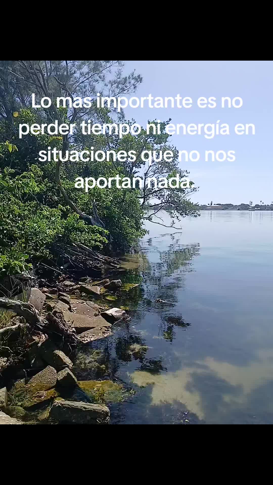 @patricia marti