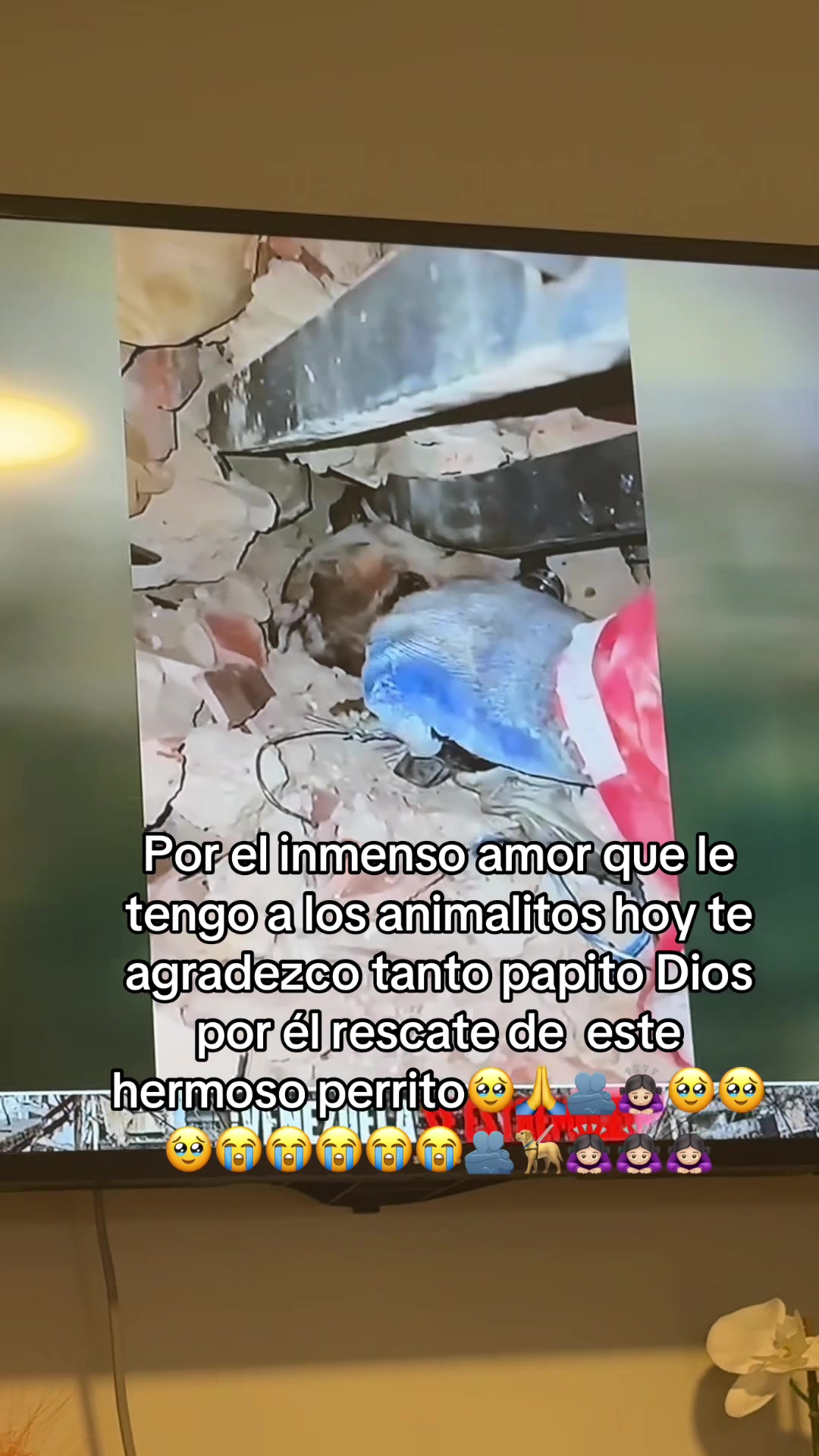 @Luzma1802