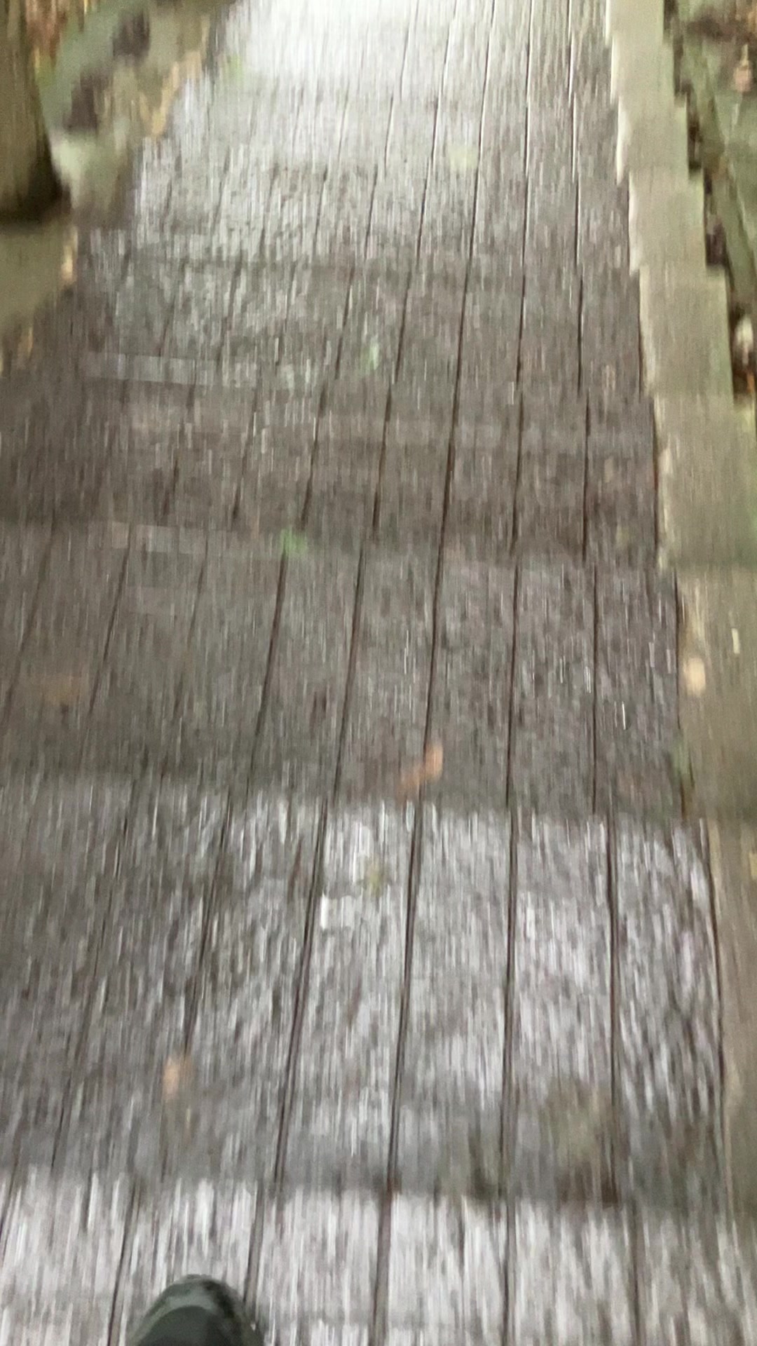 @しうん🏀夏はもう過ぎ去った