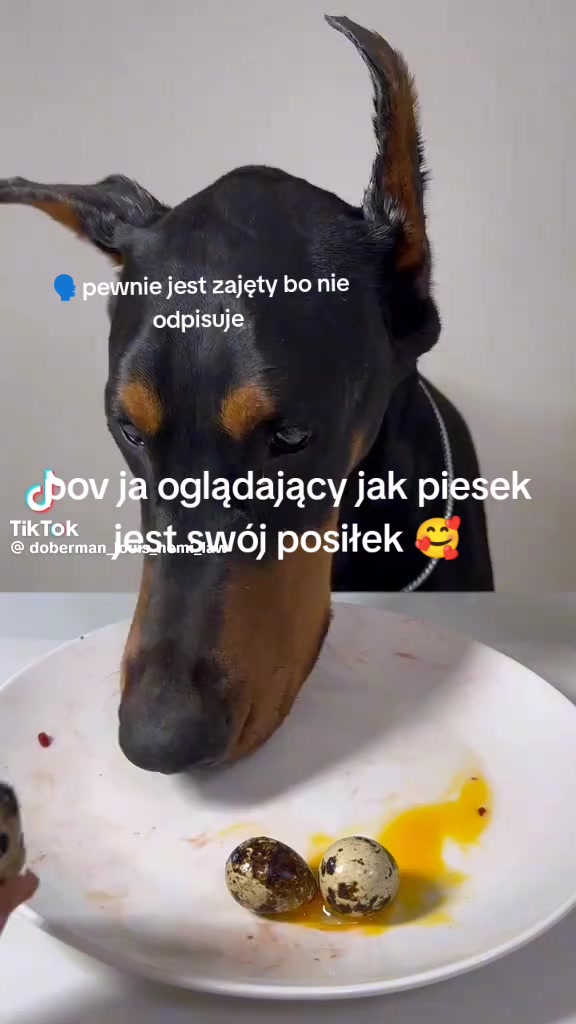 @gyattmode