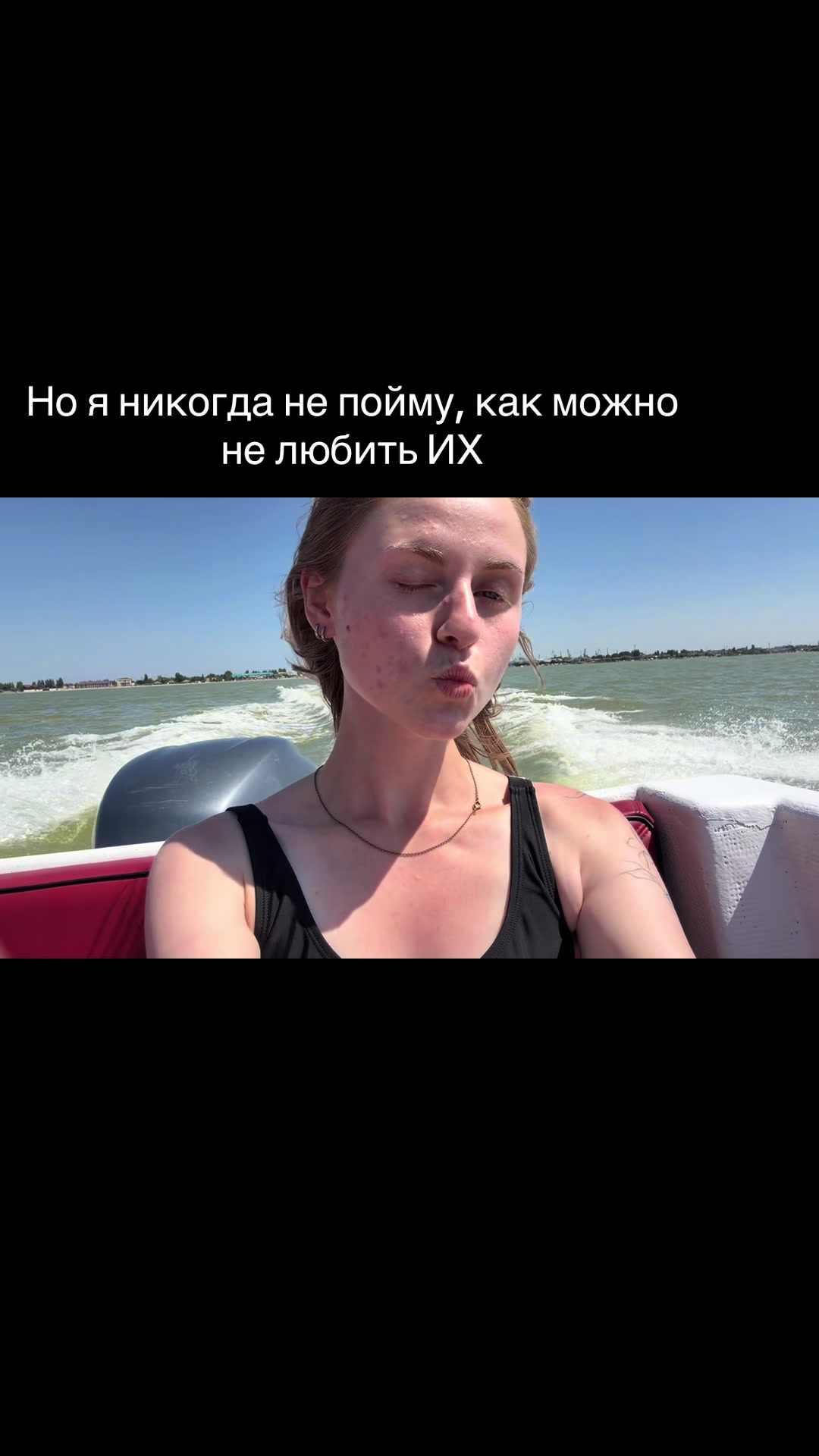 @котофан
